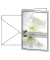 Trauerkarten weiße Amaryllis DS006 11,5cm x 17cm (BxH) 220g stille Anteilnahme Amaryllis Motiv Glanzkarton FSC