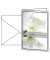 Trauerkarten weiße Amaryllis DS006 11,5cm x 17cm (BxH) 220g stille Anteilnahme Amaryllis Motiv Karton, Kunststoff-kaschiert FSC