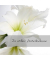 Trauerkarten weiße Amaryllis DS006 11,5cm x 17cm (BxH) 220g stille Anteilnahme Amaryllis Motiv Karton, Kunststoff-kaschiert FSC