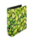 Motivordner maX.file Fruits Limonen 10485134, A4 80mm breit