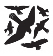 Warnvögel 30x30cm schwarz
