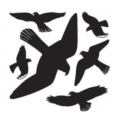 Warnvögel 30x30cm schwarz