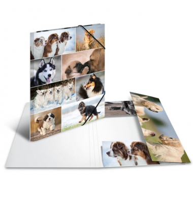 Sammelmappe A3 Hunde Material Karton