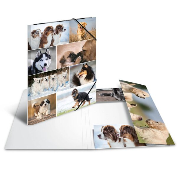 4008705908443 - Sammelmappe A3 Hunde Material Karton VE 1 Packung 3 Stück 4008 4008705908443 - Sammelmappe A3 Hunde Material Karton VE 1 Packung 3 Stück 4008