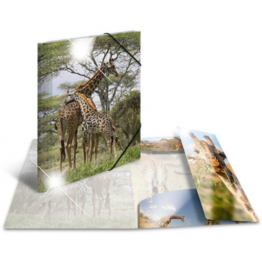 Sammelmappe Glossy A4 PP Giraffe
