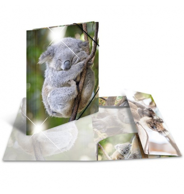 Sammelmappe Glossy A4 PP Koala