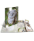 Sammelmappe Glossy A4 PP Koala
