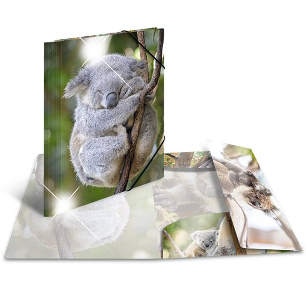 4008705920643 - Sammelmappe Glossy A4 PP Koala 4008705920643 HERMA 19323 3 Stück 4008705920643 - Sammelmappe Glossy A4 PP Koala 4008705920643 HERMA 19323 3 Stück