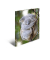 Sammelmappe Glossy A4 PP Koala