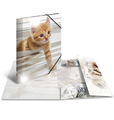 Sammelmappe Glossy A4 PP Katzen