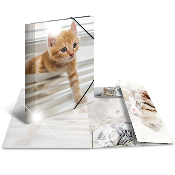 4008705920728 - Sammelmappe Glossy A4 PP Katzen 4008705920728 HERMA 19328 3 Stüc 4008705920728 - Sammelmappe Glossy A4 PP Katzen 4008705920728 HERMA 19328 3 Stüc