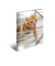 Sammelmappe Glossy A4 PP Katzen