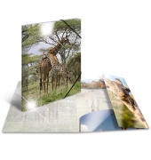 Sammelmappe Glossy A3 PP Giraffe