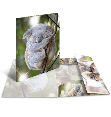 Sammelmappe Glossy A3 PP Koala