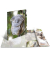Sammelmappe Glossy A3 PP Koala