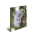 Sammelmappe Glossy A3 PP Koala