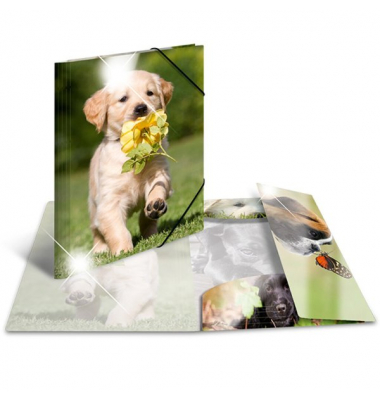 Sammelmappe Glossy A3 PP Hunde