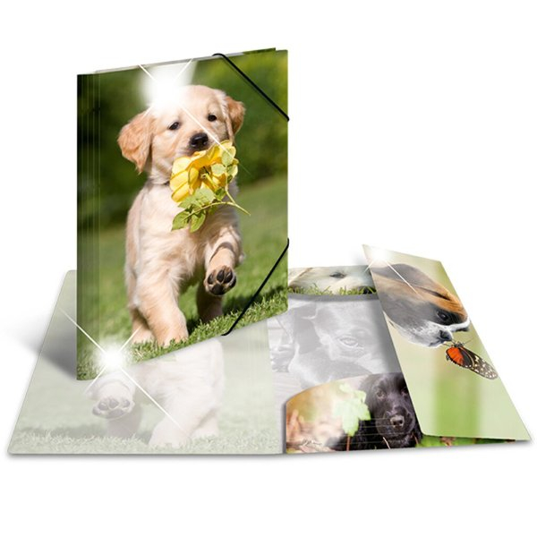 4008705920858 - Sammelmappe Glossy A3 PP Hunde 4008705920858 HERMA 19336 3 Stück 4008705920858 - Sammelmappe Glossy A3 PP Hunde 4008705920858 HERMA 19336 3 Stück