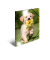 Sammelmappe Glossy A3 PP Hunde