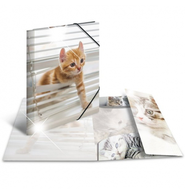 Sammelmappe Glossy A3 PP Katzen