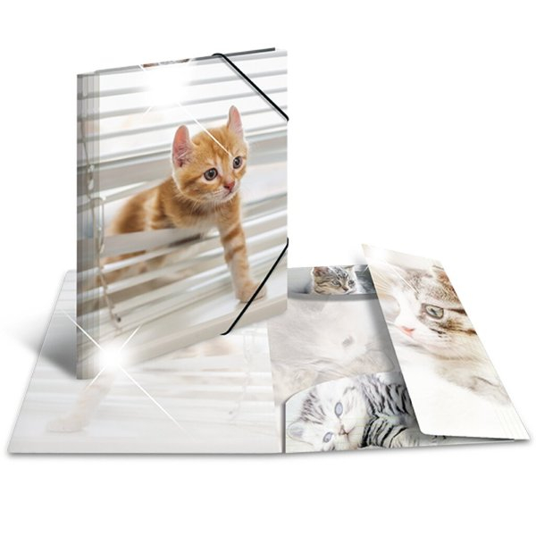 4008705920872 - Sammelmappe Glossy A3 PP Katzen 4008705920872 HERMA 19337 3 Stüc