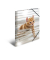 Sammelmappe Glossy A3 PP Katzen