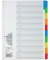 Kartonregister 31001-08, 10-teilig blanko, A4, 160 g/m&sup2;, farbige Taben, 10-teilig
