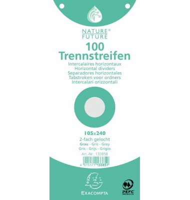 Trennstreifen 13385B grau 205g gelocht 24x10,5cm 