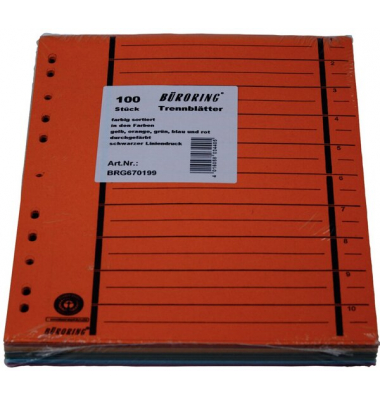 Trennblätter BRG670199 A4 farbig sortiert 230g 