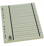 Trennblätter BRG670115 A4 chamois 170g 