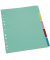 Kartonregister BRG604190, 5-teilig blanko, A4, 175 g/m&sup2;, farbige Taben, 5-teilig