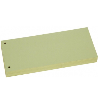 Trennstreifen BRG660872 grün 190g gelocht 22,8x10,5cm 