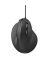 Vertikalmaus EMC-500 182698, 6 Tasten, mit Kabel, USB-Kabel, Rechtshänder, ergonomisch, optisch, schwarz