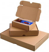 Maxibriefkarton 211107825 braun, porto-optimiert, bis DIN A5, innen 225x155x45mm, Wellpappe