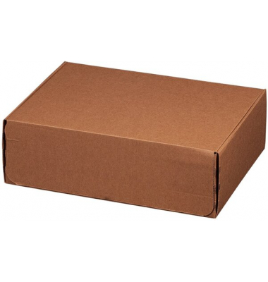 Versandkarton Modulbox Päckchen 311100420 braun, innen 305x210x91mm, Wellpappe