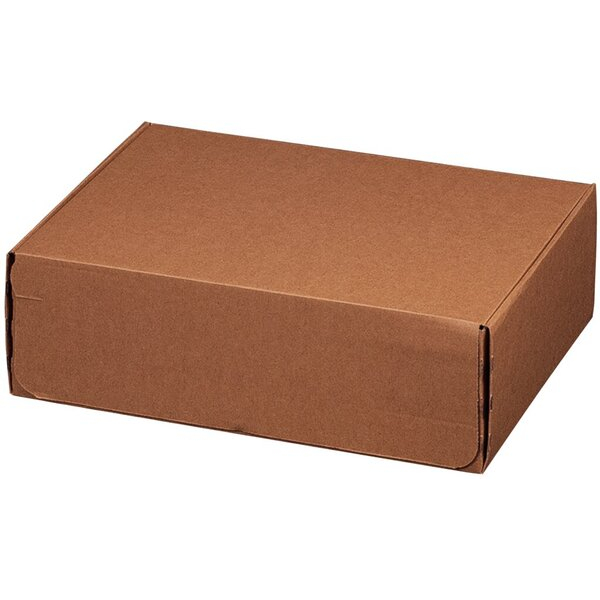 4250414138509 - Versandkarton Modulbox Päckchen 311100420 braun innen 305x210x91mm Wellpappe 4250414138509 20 Stück 4250414138509 - Versandkarton Modulbox Päckchen 311100420 braun innen 305x210x91mm Wellpappe 4250414138509 20 Stück