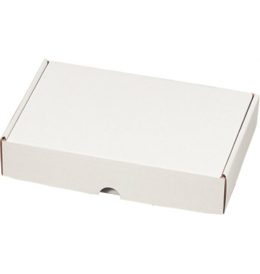 Maxibriefkarton 211117825 weiß, porto-optimiert, bis DIN DIN Lang, innen 225x155x45mm, Wellpappe