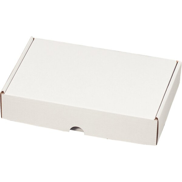 4250414138790 - Maxibriefkarton 211117825 weiß porto-optimiert bis DIN DIN Lang innen 225x155x45mm Wellpappe 4250414138790 25 Stück 4250414138790 - Maxibriefkarton 211117825 weiß porto-optimiert bis DIN DIN Lang innen 225x155x45mm Wellpappe 4250414138790 25 Stück