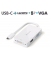 Adapter USB-C auf Multiport, weiß, DVI mit FullHD, VGA mit WUXGA, 0,10 m