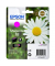 Druckerpatrone 18 / T1803 C13T18034012 (18), magenta, ca. 180 Seiten