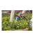 Gartenbrause Comfort