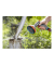 Gartenbrause Comfort