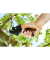PowerStep™ P83 Gartenschere