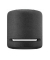 Echo Studio Smart Speaker schwarz