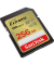Speicherkarte Extreme SDSDXVV-256G-GNCIN, SDXC, Class 10, bis 180 MB/s, 256 GB