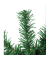 Lichterkette 31870 Tannengirlande, 100 LEDs, Länge 5m, warmweiß