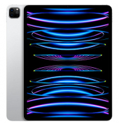 iPad Pro 12.9 6.Gen (2022) WiFi 32,8 cm (12,9 Zoll) 512 GB silber