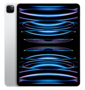 iPad Pro 12.9 6.Gen (2022) Cellular 32,8 cm (12,9 Zoll) 512 GB silber