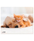 Mousepad SILK Hund & Katze