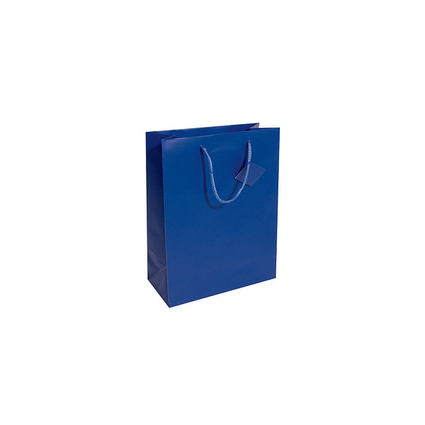 4004360797583 - Geschenktasche GT503 allgemein Kunststoffkordel mit Geschenkanhänger ohne 26cm x 33cm 4004360797583 5 Stück 4004360797583 - Geschenktasche GT503 allgemein Kunststoffkordel mit Geschenkanhänger ohne 26cm x 33cm 4004360797583 5 Stück